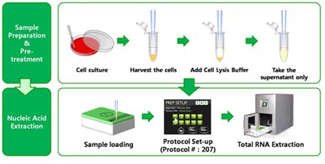 rna extraction instrument|ExiPrep 16 Plus from Bioneer.